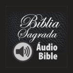 holy bible in audio android application logo